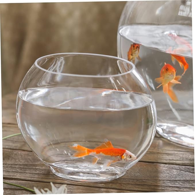 Transparent Fish Tank Desktop Aquarium Delicate Shape for Home Office Decor Space-Saving Design for Betta Fish