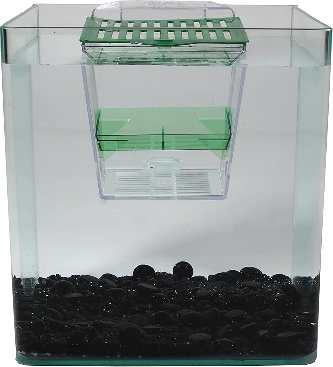 Penn-Plax Breed and Show Nursery Fish Tank
