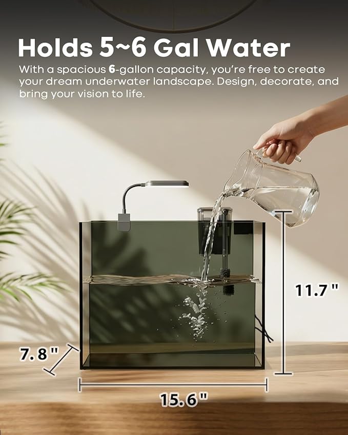 Wonderfactory 5 Gallon Small Aquarium Set Glass Fish Tank 6 Gallon, Starter Kit with Heater Water Pump Cleaning System Filter Bright Light Rocks Gravel Cleaning Tool, Clear Rimless Betta Plants