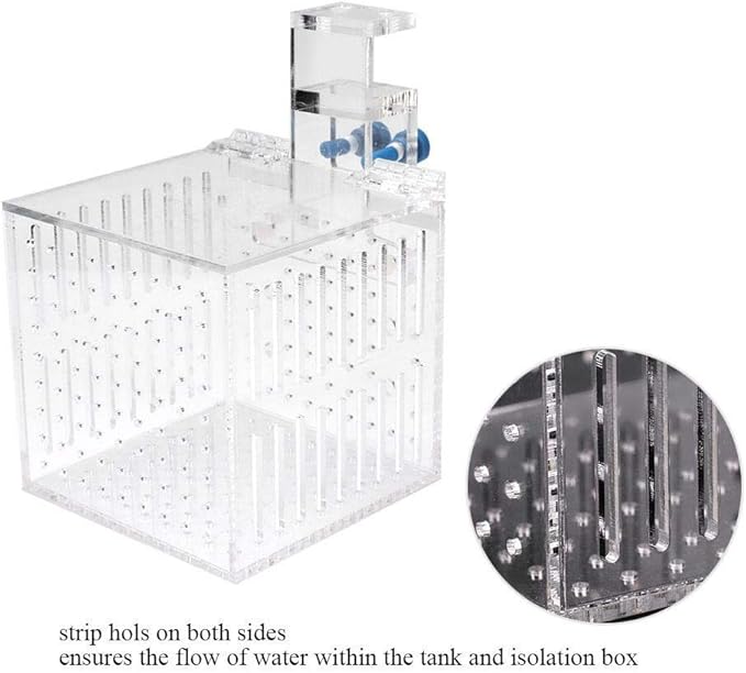 Strip Holes Design Adjustable Fishes Breeding Boxes, Aquarium Isolation Box, Fish Shrimp Clownfish for Preventing Fighting Fish Hatching Breeding
