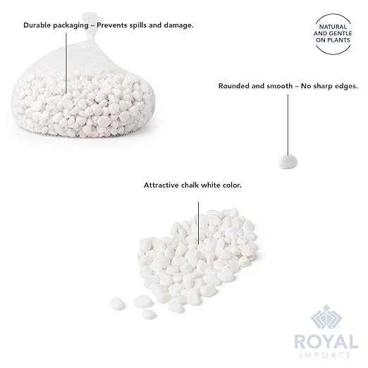 River Rocks Decorative Ornamental Vase Filler 1"-1.5" White Aquarium Gravel 5 lbs - Landscaping Pebbles for Indoor Plants, Fish Tank Gravel, Terrarium& Home Decor, DIY & Crafting – Royal Imports