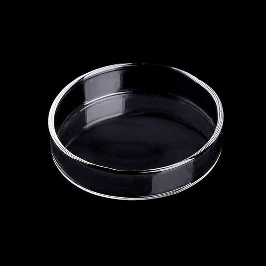 WEAVERBIRD 80mm Aquarium Shrimp Feeder Dish Glass Fish Tank Feeding Bowls Round Clear Dishes Tray