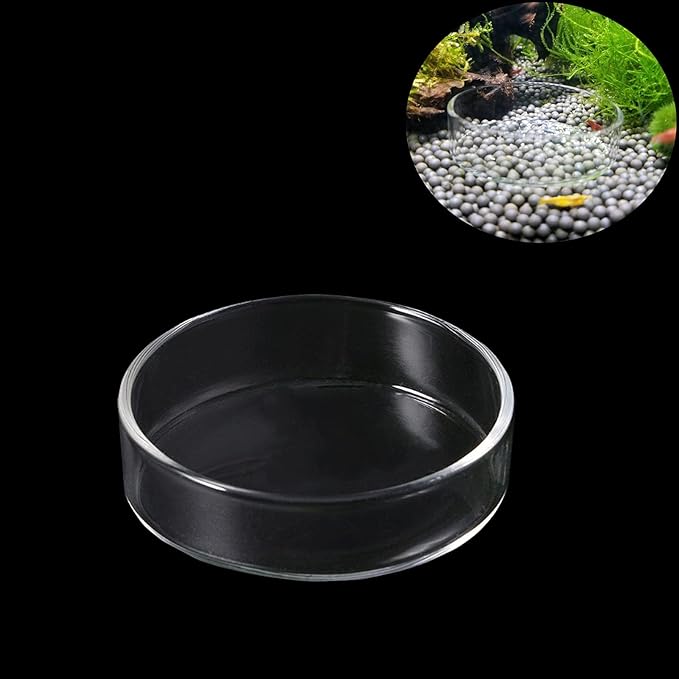 1PCS Aquarium Shrimp Feeding Dish, Glass Round Fish Feeder Bowl Reptiles Water Food Dish Clear Dishes Tray, 60mm