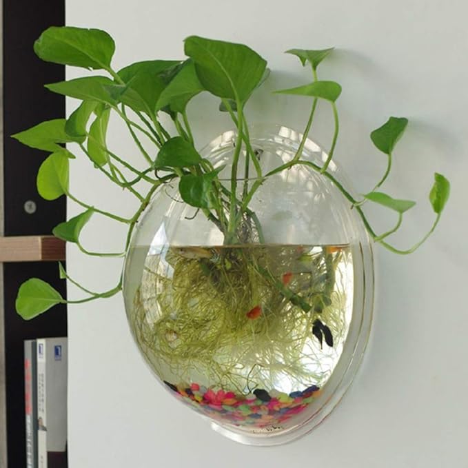 Aquarium Wall Mounted Plant Bowl - 6 Inch Round Acrylic Betta Fish Tank, Hanging Bubble Vase for Plant Propagation & Home Office Wall Decorations