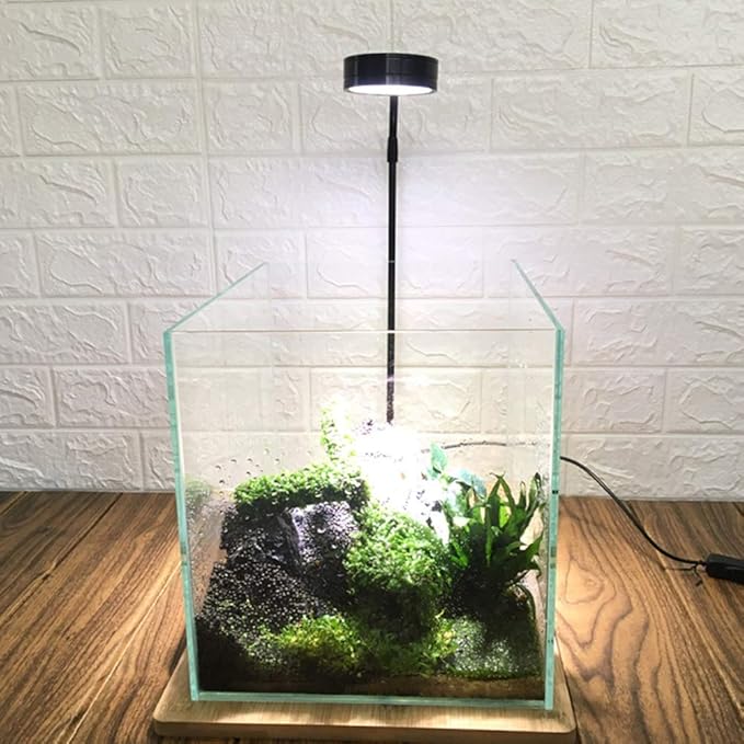LED Aquarium Light 360 Degree Full Spectrum LED Light with Bamboo Board 10W Nano Fish Tank Light USB Powered Flat Nano Aquarium Light Bett a Fish Tank Light for Plant Growth