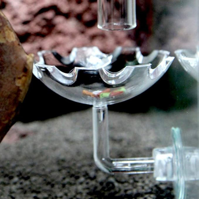 POPETPOP 2Pack Shrimp Feeding Dish-Shrimp Feeder,Shrimp Bowl Aquarium Transparent Feeder Container with Suction Cup Fish Tank Feeding Dish