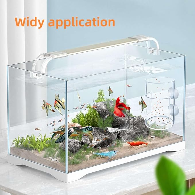 Suction Cup Fish Food Feeder for Aquarium, Acrylic Automatic Fish Feeding Ring with 1 Spoon, Round Transparent Aquarium Feeder Bird Shrimp Feeding Ring (Round)