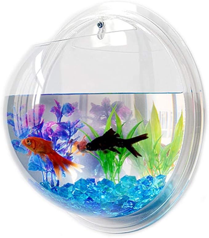 Aquarium Wall Mounted Plant Bowl - 6 Inch Round Acrylic Betta Fish Tank, Hanging Bubble Vase for Plant Propagation & Home Office Wall Decorations