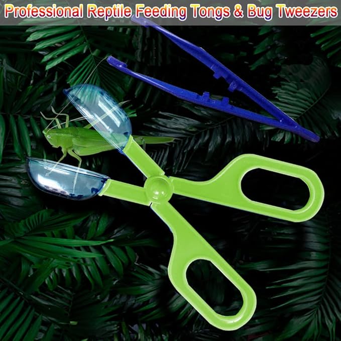 Feeding Tongs,Bug Tweezers for Kids Adults, Reptile Feeding Tweezers Long Handle Feeder Tools for Fish Aquariums Reptiles Snakes Lizard Gecko Spider and Bird (Green)