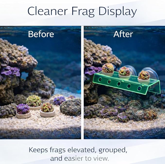 kcrygogo Fluorescent Green Coral Frag Holder Acrylic Coral Rack with Powerful Double Suction Cup Suitable for Household Fish Tanks (10 Plug Holes)