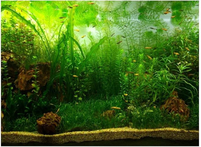 Filfeel Aquarium Background Fish Decorations Pictures PVC Adhesive Poster Water Grass Backdrop Decoration Paper Cling Decals Sticker(76 * 46cm)