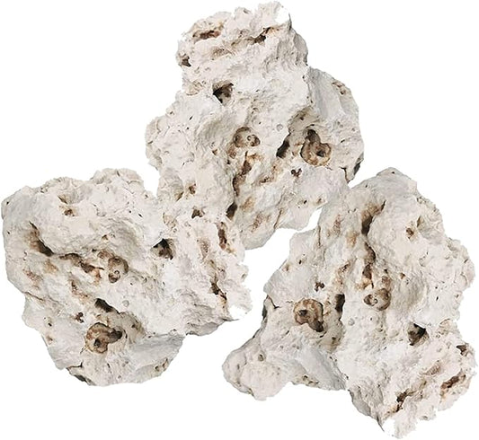 Hamiledyi Aquarium Holey Rock Stone White Coral Ornament Sea Base Rocks for Aquarium Aquascaping Natural Limestone Decor for Fish Tank Aquatic Shrimp Pet Reptile Habitat (Random Size and Quantity)