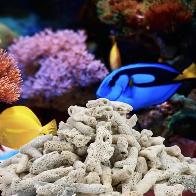 2 Packs Crushed Coral Filter for Aquarium,Fish Tank Crushed Coral for Freshwater Aquarium Ph Aquarium Bio Filter Media Bag Reusable Aquarium Filter