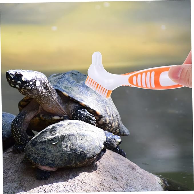 2Pcs Turtle Shell Cleaning Brush Aquatic Tortoise Mud Multi-Functional Brush with Dense Bristles for Shell Cleaning for Turtle Conch Care