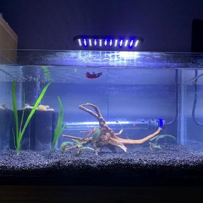 Emours Natural Aquarium Spider Wood Driftwood Tropical Fish Plant Habitat Decor Vary Sizes, 2 Pcs Set (Medium)
