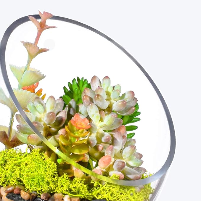 Clear Slant Cut Bubble Bowl, Fish Bowl & Plant Terrarium, Candy Jar Slant Cut Globe Vase Center Piece, Round Flower Vase, (6.9“ Tall .5.5“ Wide) …