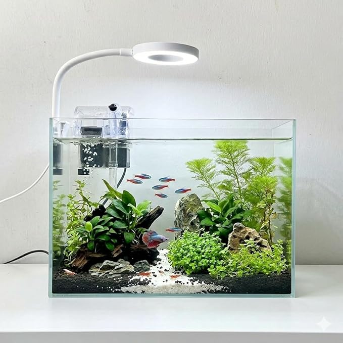 Nano Aquarium Kit 2.2 Gallon, Rimless Glass Betta Fish Tank with Filter & LED Light, 12" x 6" x 8" Small Desktop Fish Tank for Home Office (Transparent, Essential)