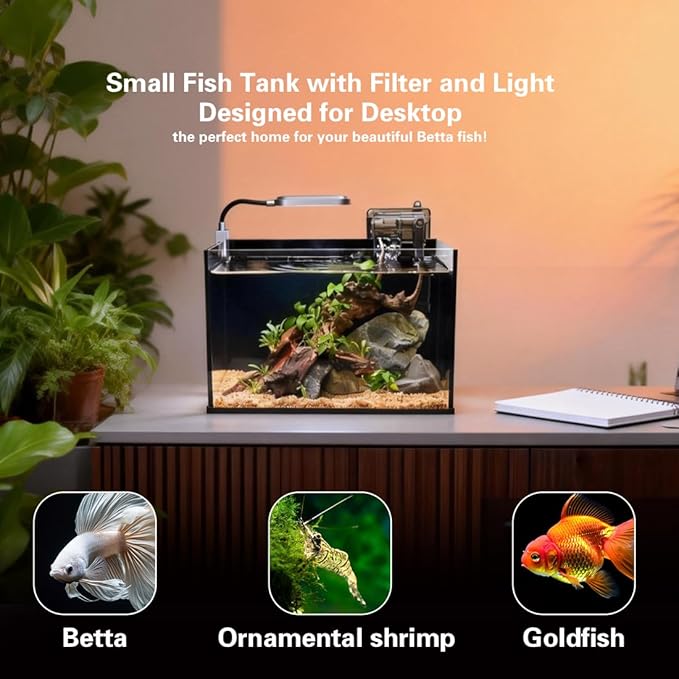 Glass Fish Tank Kit,2.8 Gallon Fish Tank,Small Aquarium, Ultra-Clear Nano Aquarium,Betta Fish Tank,Small Fish Tank,Aquarium Starter kit,Desktop Fish Tank,with Light and Filter