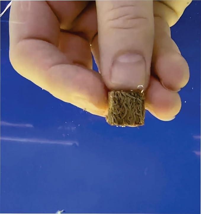 Freeze Dried Blackworms - Power Boost Mix (Spirulina, Color Boost, Natural) - Great for Marine & Tropical Tanks - High Protein, No Preservatives - Live Alternative Food (25 Grams)