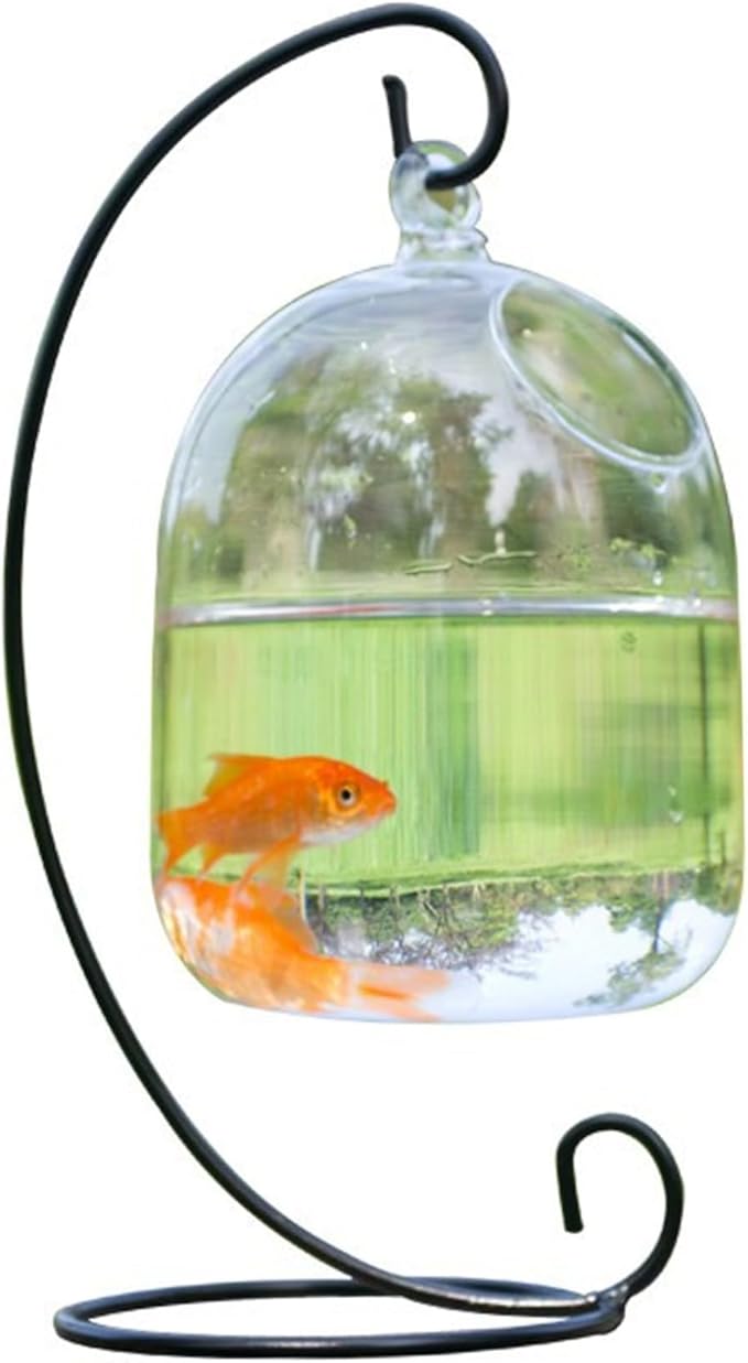 Hanging Fish Bowl with Stand, Transparent Mini Fish Tank Bowl, Space-Saving Impermeable Construction Glass Vase Aquarium for Home, Office Accessory