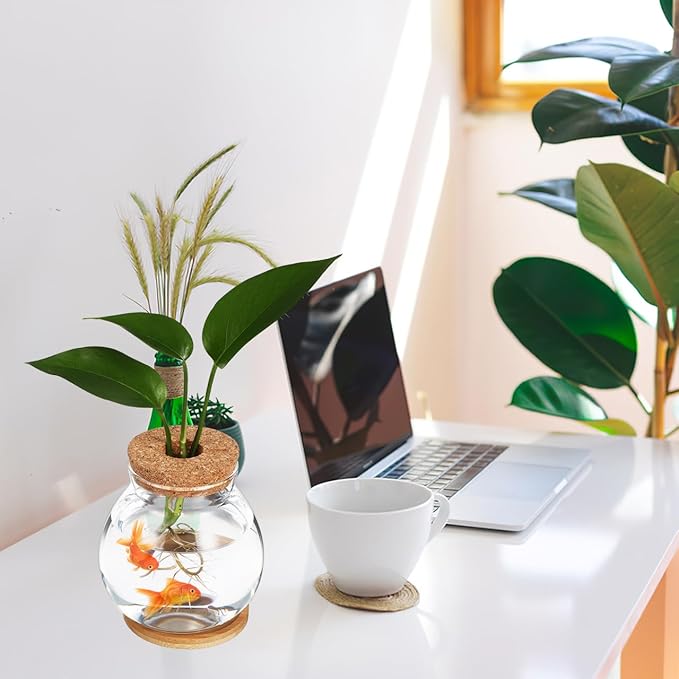 Balacoo Desktop Hydroponic Fish Bowl - Clear Glass Fish Tank with Bamboo Cushion and Wood Lid, Small Betta Fish Plants Terrarium for Home and Office Plant Decoration