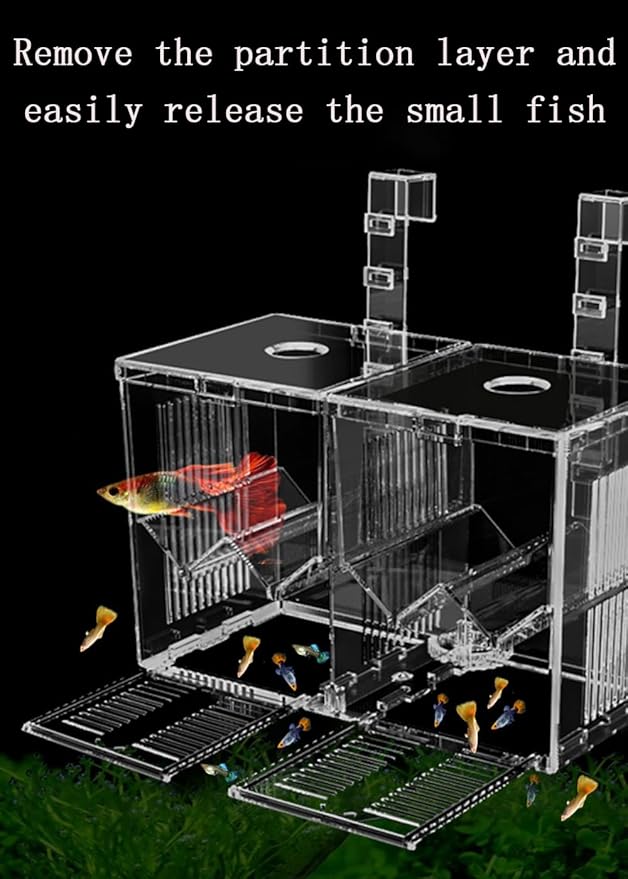 Aquarium Breeder Box, Acrylic Aquarium Breeder Box, Isolation Hatchery Feeding Boxes for Small Fish Fry Hatchery