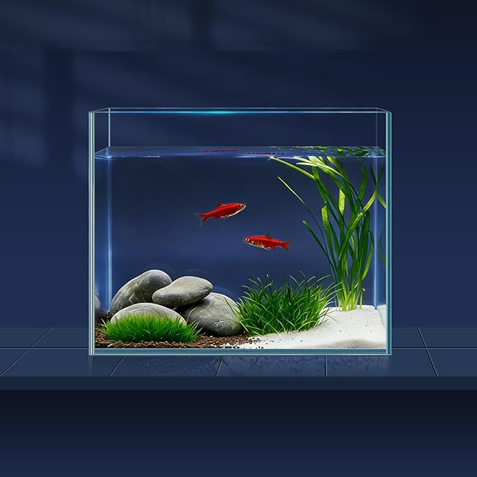 LAQUAL 1 Gallon Fish Tank Starter Kit with Fish Net, 1 Water Changer Siphons & 2 Cleaning Cloth, Crystal Clear Glass Fish Tank, Small Fish Tank/Aquarium for Betta & Goldfish, Nice Home Décor