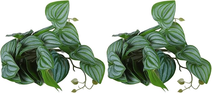 2PCS Artificial Water Plant,Simulation Vine,Lifelike Plastic Leaves Decoration with Suction Cup,Plastic Plant Aquatic Water Grass Decor for Fish Tank (Watermelon Leaves)