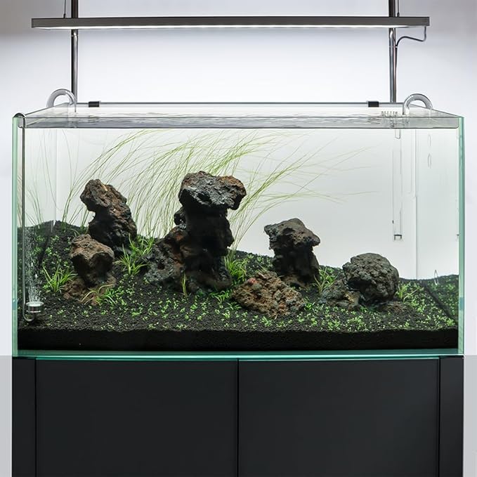 LINLAN 13.78in 304 Stainless Steel CO₂ Diffuser, Frosted Matte Material(One-Piece Molding), Equipped with Silicone Suction Cup + Replacement Diffusion Disc, Suitable for Rimless Planted Aquariums