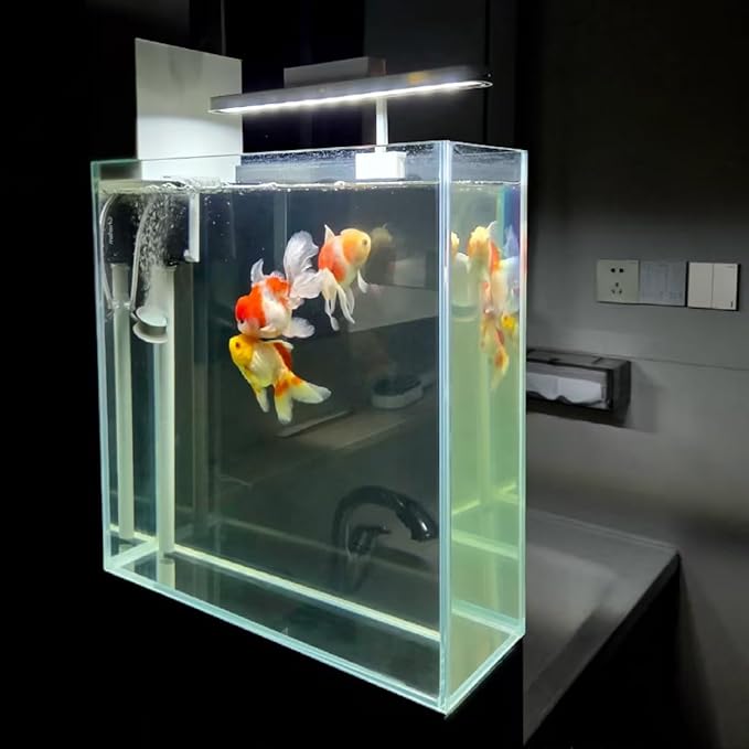 High-Clarity 3.5 Gallon Fish Tank 30 * 15 * 30CM - Low Iron Glass Aquarium with Space-Saving Thin & Narrow Designs | Includes Non-Slip Mat, Corner Guards + Decor | Ideal for Desktop/Bathroom