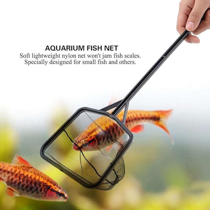 Aquarium Fish Net, Lightweight Nylon Aquarium Shrimp Net Fish Fishing Net Fish Net Mesh Fish Catching Mesh Tool with Plastic Handle