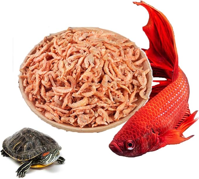 3000ml Fish Food Aquarium Pond Fish Food Arowana Food Floating Shrimp Freeze Dried Krill Carnivore Koi Tropical Cichlid Turtle (3000ml)