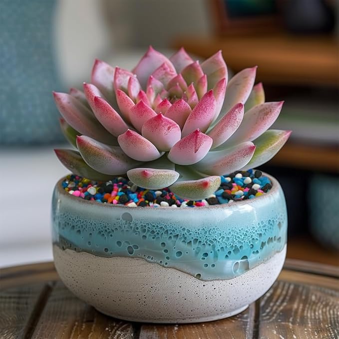 HappyFiller Mix Colored & Black Pea Gravel,Colorful Pearlized Stones for Succulent Cactus Aloe Plants, Bonsai Soil Cover,Terrarium Fairy Garden Landscape,Vase Fillers,Fish Bowl,Home Decor,3-6mm