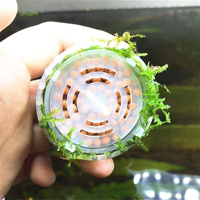 4 Pack Aquarium Moss Ball Holder, Fish Tank Moss Ball Live Plants Shaping Filter, Exotic Decor Ornaments for Aquarium Shrimp Betta Fish Tank (4 Pack)