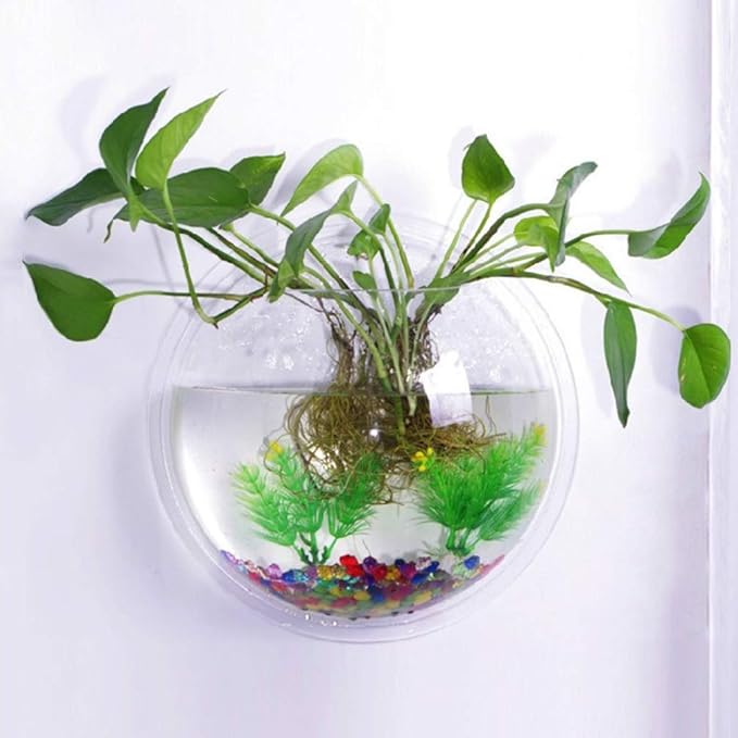 Aquarium Wall Mounted Plant Bowl - 6 Inch Round Acrylic Betta Fish Tank, Hanging Bubble Vase for Plant Propagation & Home Office Wall Decorations
