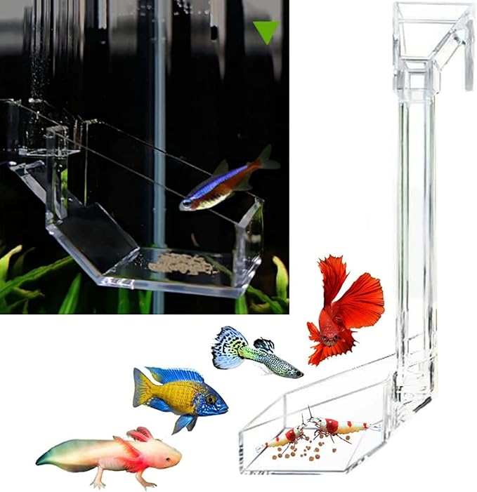 Shrimp Fish Feeding Dish - Sky Restaurant - Betta & Aquarium Feeder - Prevents Spills, Easy Clean Up, Suitable for African Cichlids & Dwarf Frogs