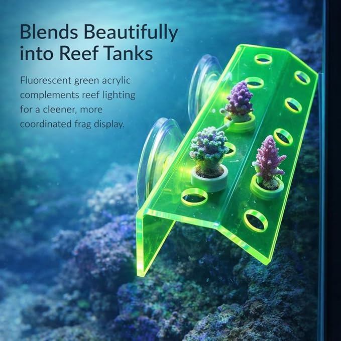 kcrygogo Fluorescent Green Coral Frag Holder Acrylic Coral Rack with Powerful Double Suction Cup Suitable for Household Fish Tanks (10 Plug Holes)