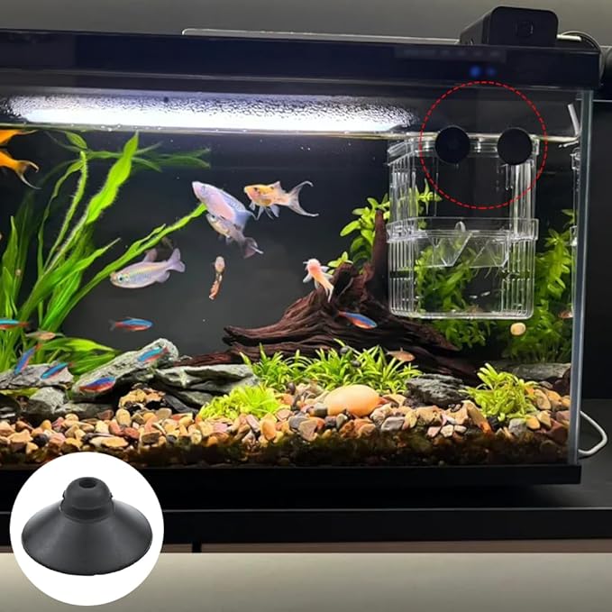 24PCS Rubber Fish Tank Suction Cups Black Sucker Clips Fish Tank Attachments for Tank Pump, Overhead Line Tube, Fish Tank Aeration Setup