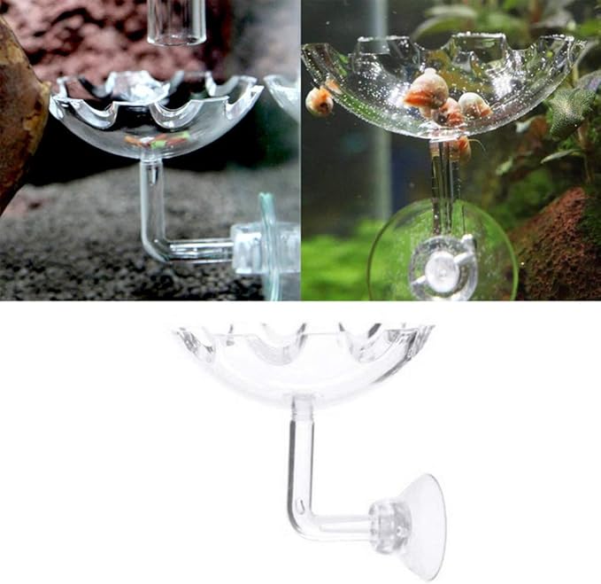 POPETPOP 2Pack Shrimp Feeding Dish-Shrimp Feeder,Shrimp Bowl Aquarium Transparent Feeder Container with Suction Cup Fish Tank Feeding Dish