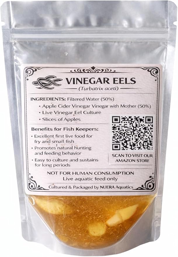 Microworms and Vinegar Eels Starter Culture Combo – Live Fish Fry Food for Betta, Guppy, Nano and Freshwater Baby Fish 5oz