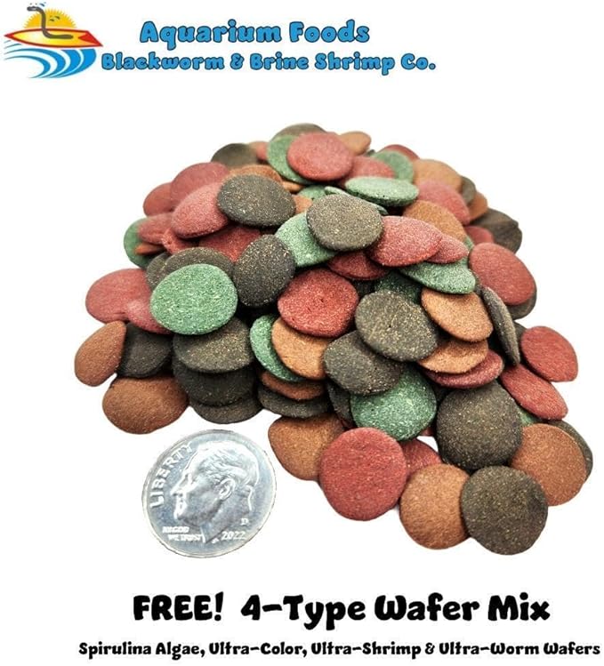 Freeze Dried California Blackworms with Our Beef Heart Mix for Discus, Cichlids, All Tropical Fish. Farmed and Freeze Dried in California USA! NOT Imported from Mexico…100 Grams