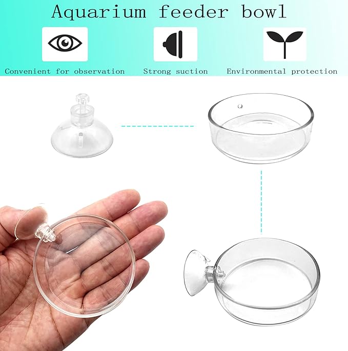 Aquarium Shrimp Feeder Dish Glass Fish Tank Feeding Bowls, 1pcs Round Glass Food Bowl (60mm), 2pcs Square Fish Feeding Bowls with Suction Cups (60mm)