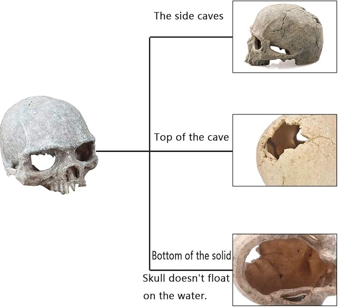 Tfwadmx Aquarium Skull Decor, Resin Fish Tank Decorations Aquarium Shrimp Cave Betta Fish Hiedout Reptile House for Small Fish,Shrimp