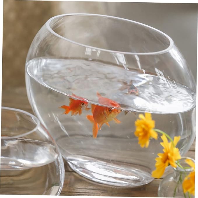 Transparent Fish Tank Desktop Aquarium Delicate Shape for Home Office Decor Space-Saving Design for Betta Fish