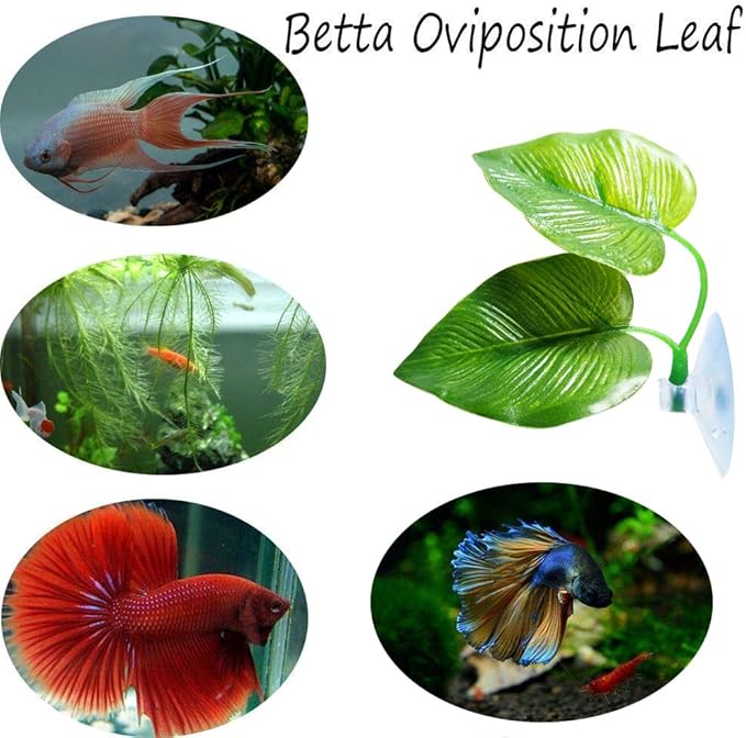 CousDUoBe 2 Pack Betta Fish Leaf Pad,2 Pack Betta Fish Acrylic Tube Tunnel
