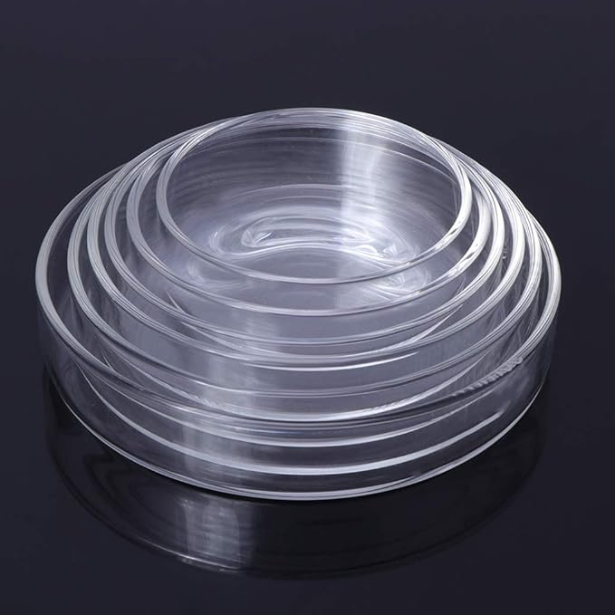 Youngy Arrival Fish Tank Feeder Aquarium Shrimp Glass Feeding Bowl Dish Tray 6 Size - D