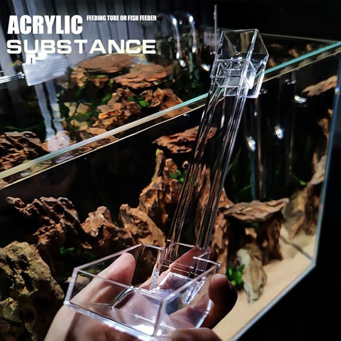 Shrimp Fish Feeding Dish, Aquarium -Sky Restaurant- Betta Feeding - Prevent Food Spilling, Fish Feeder, Also Easy to Clean Up The Food Left Over, African Feeding, Dwarf Frogs Feeding (L)