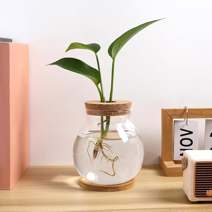 Balacoo Desktop Hydroponic Fish Bowl - Clear Glass Fish Tank with Bamboo Cushion and Wood Lid, Small Betta Fish Plants Terrarium for Home and Office Plant Decoration