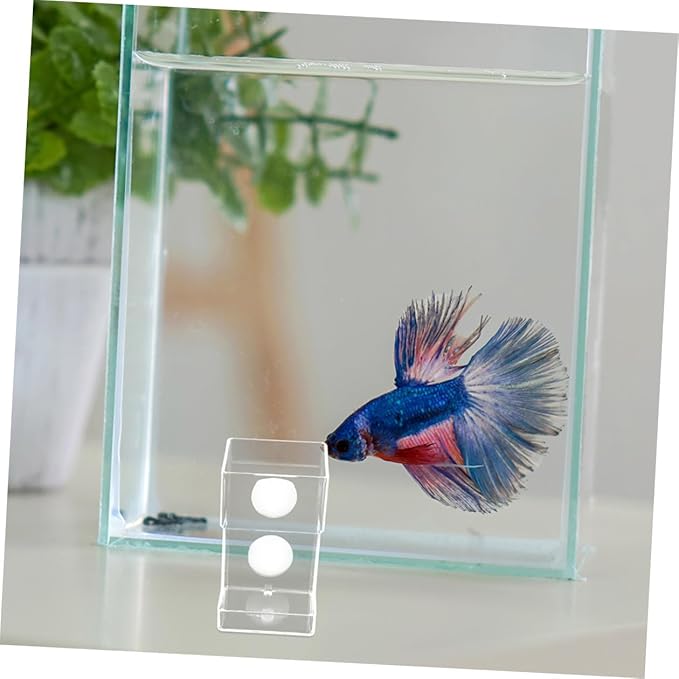 POPETPOP Fish Tank Feeding Tube with Suction Cup, Sinking Aquarium Feeder Tool for Betta and Shrimp Tanks, Large Square Automatic Fish Feeding Accessory for Home and Office