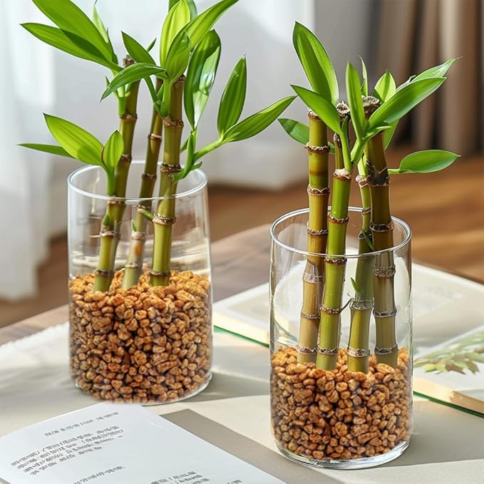 HappyFiller 2-5mm Decorative Succulent Cactus Gravel,Terrarium Small Rocks,Indoor Plants Orchid Soil Cover Stones,Candle Holder Vase Filler Decor Pebbles,0.88 LB Brown